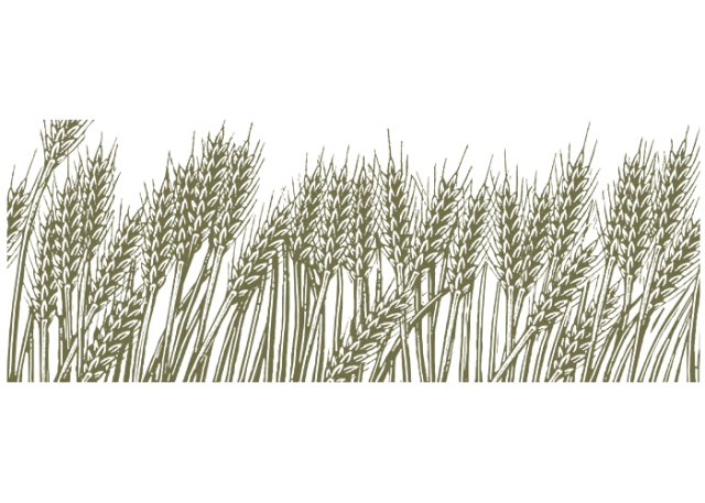 wheat field woodcut